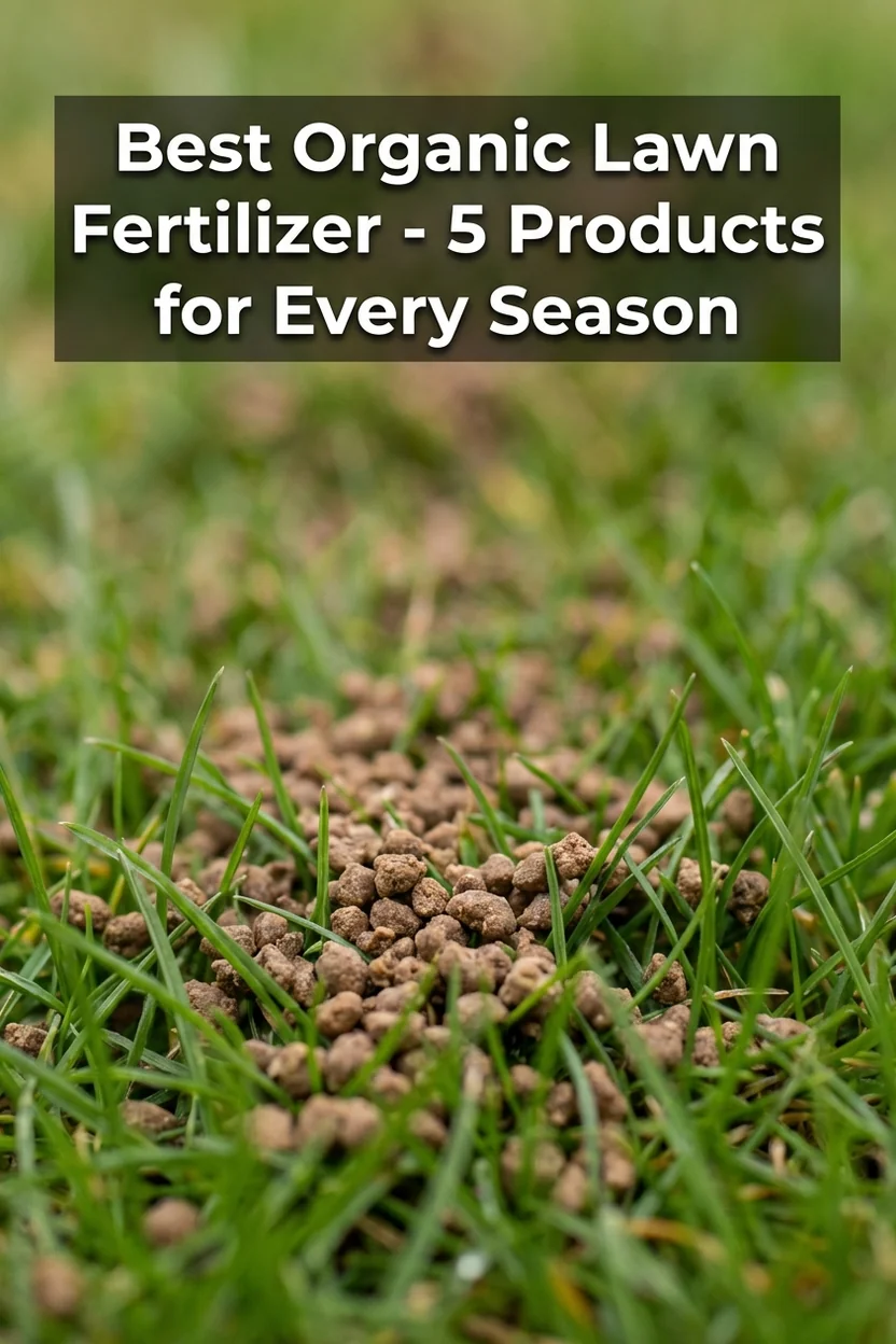 Best organic lawn fertilizer comparison showing top 5 products for seasonal lawn feeding