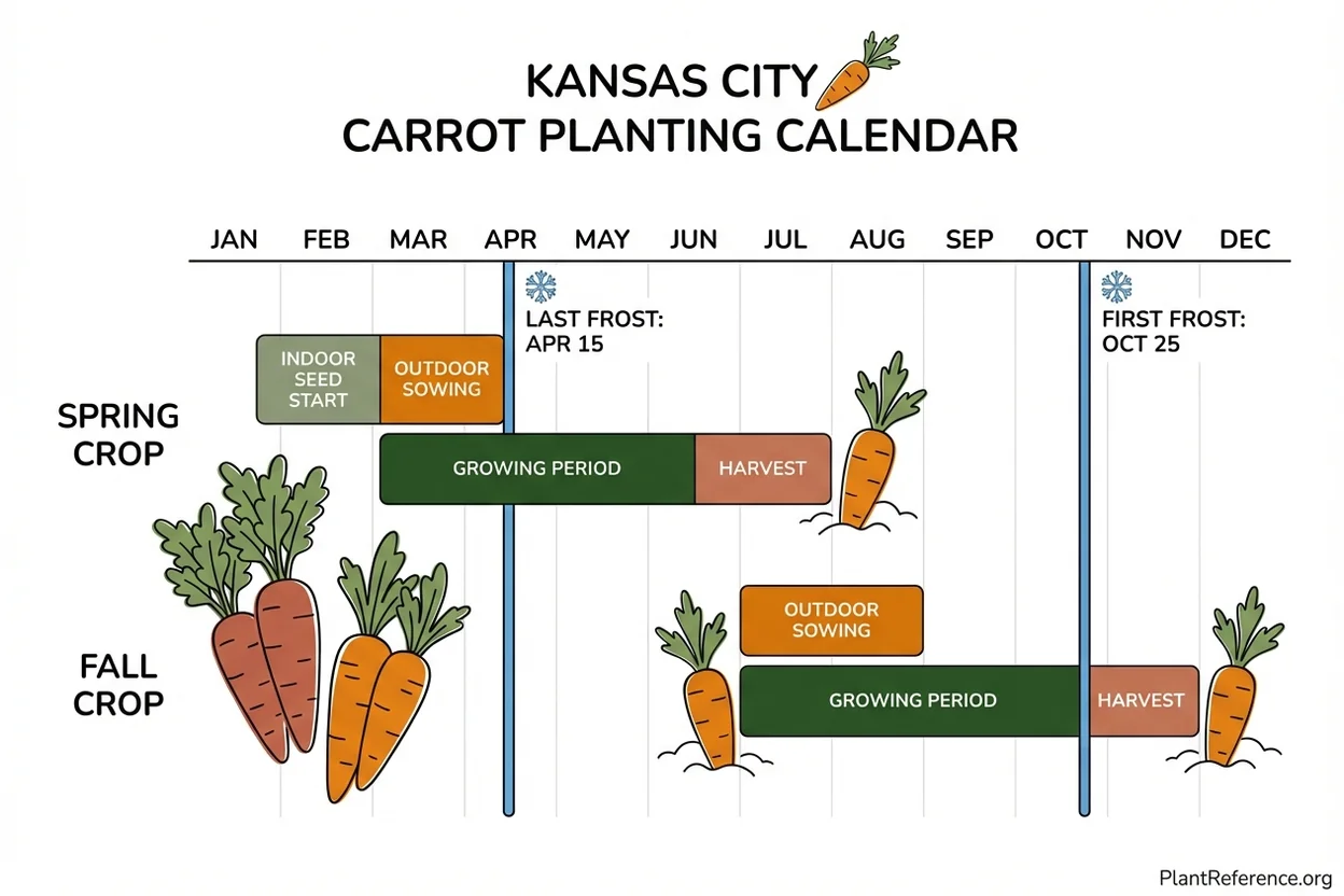 Kansas City carrot planting calendar showing spring and fall sowing dates for Zone 6a