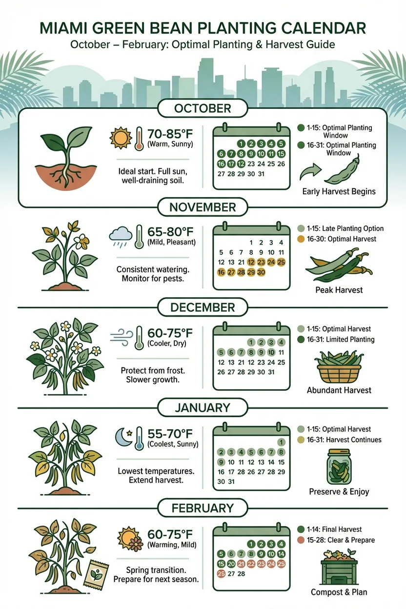 Miami green bean succession planting calendar showing October through February planting windows