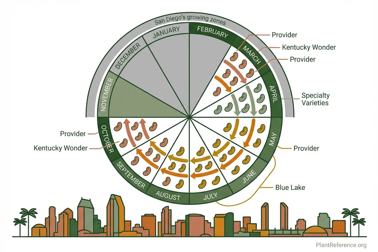 Year-round green bean planting calendar for San Diego Zone 10b climate