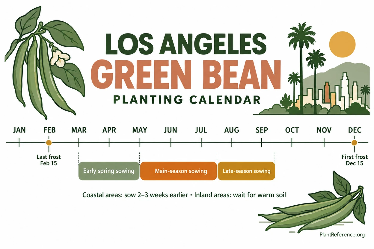 Los Angeles green bean planting calendar showing March through November production for Zone 10b