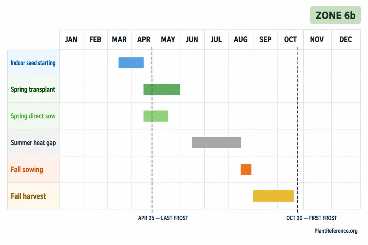 Pittsburgh lettuce planting calendar showing spring and fall sowing windows for Zone 6b