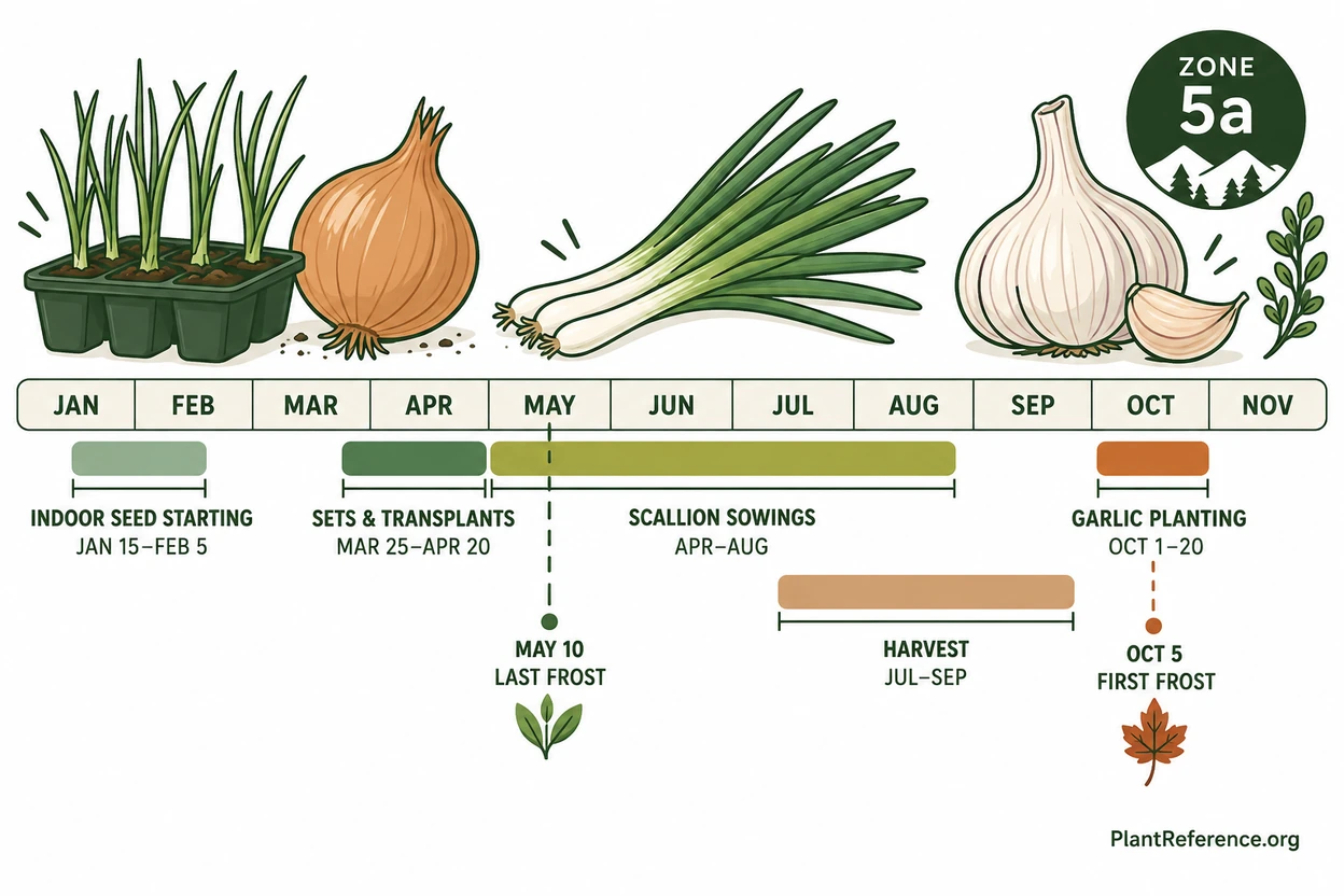 Denver onion and garlic planting calendar showing indoor seed start, spring sets, and fall garlic windows for Zone 5a
