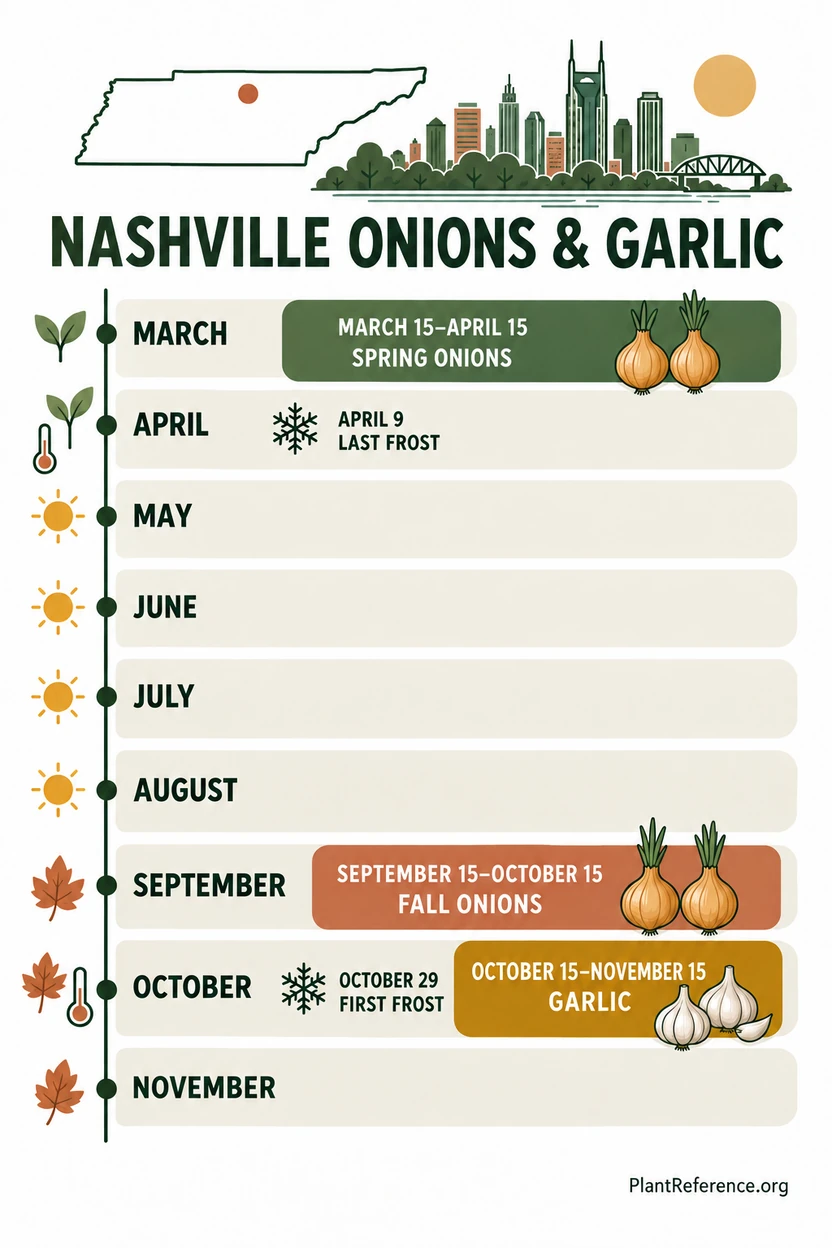 Nashville Zone 7a onion planting calendar showing spring and fall planting windows