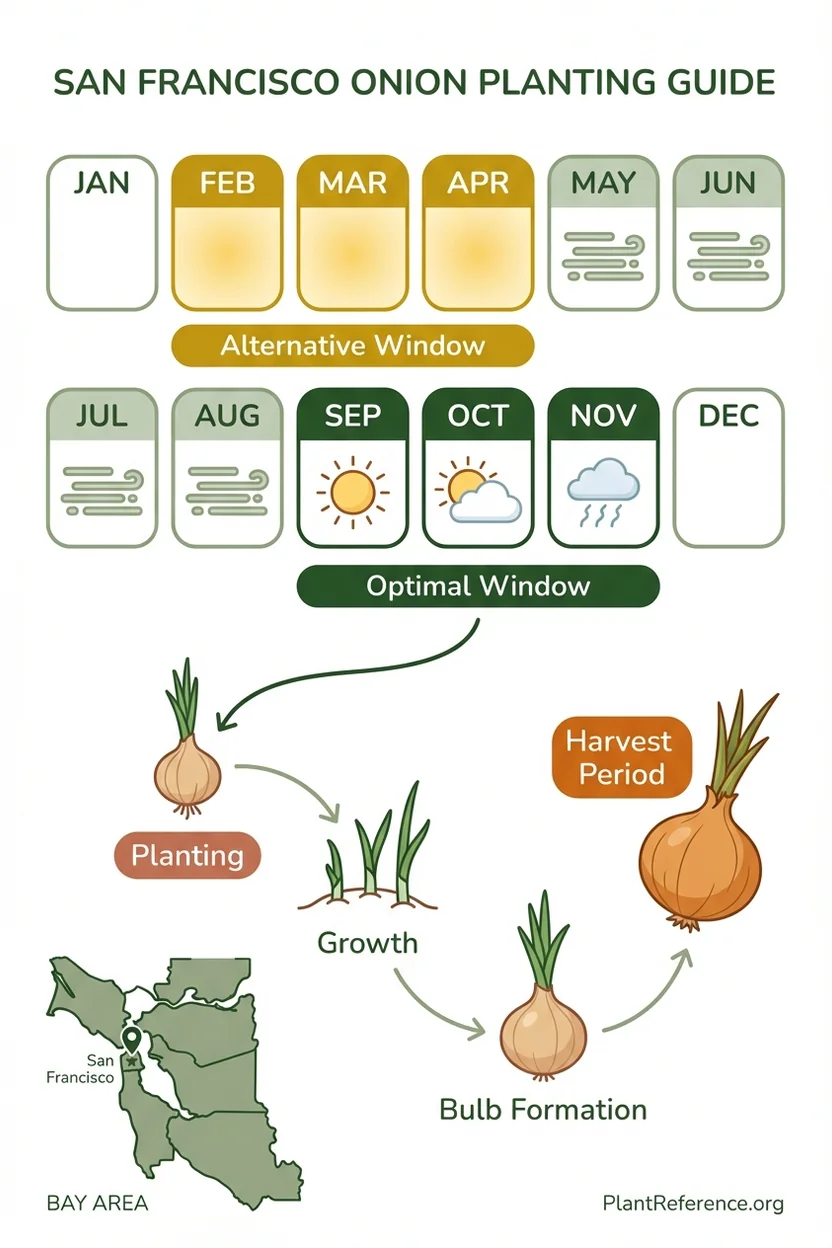 San Francisco onion planting calendar showing best dates for Zone 10a