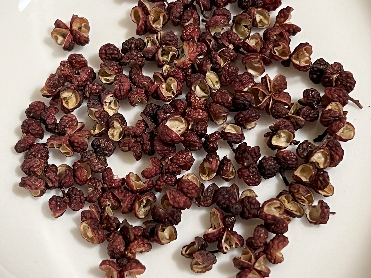 Zanthoxylum bungeanum, Sichuan pepper — upright deciduous (Rutaceae) (image 3 of 10)