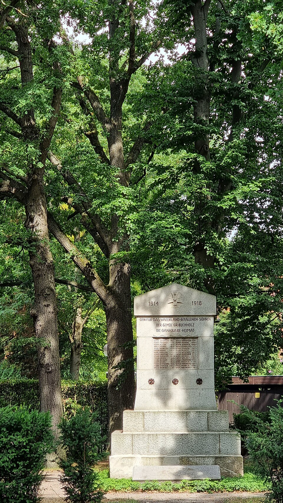 Quercus (oaks) (alternate view 4)