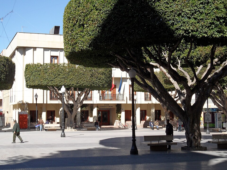 Ficus microcarpa (Ficus Ginseng) (alternate view 6)