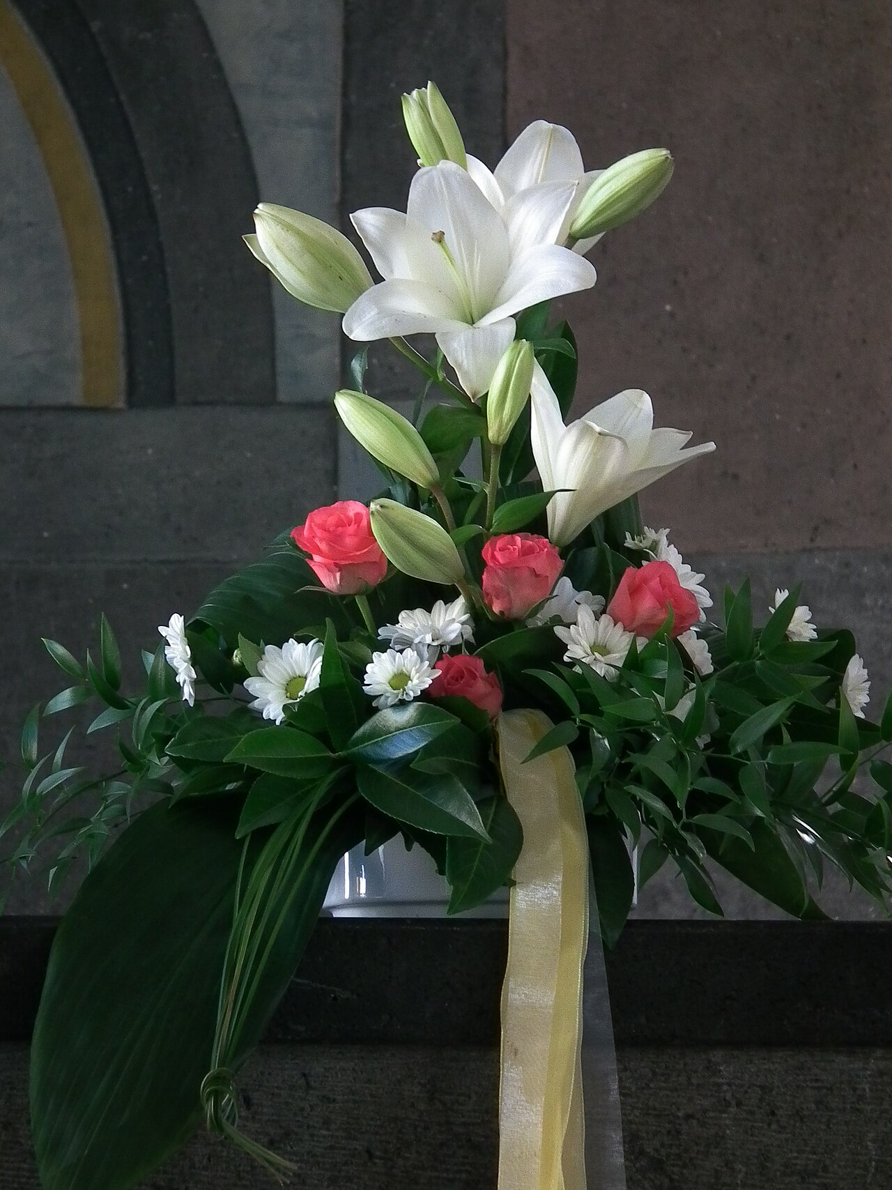 Lilium longiflorum, Easter lily — upright (Liliaceae) (image 4 of 8)
