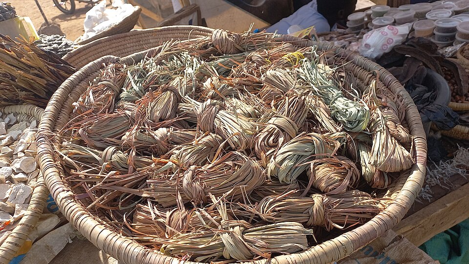 Cymbopogon (Lemon Grasses)