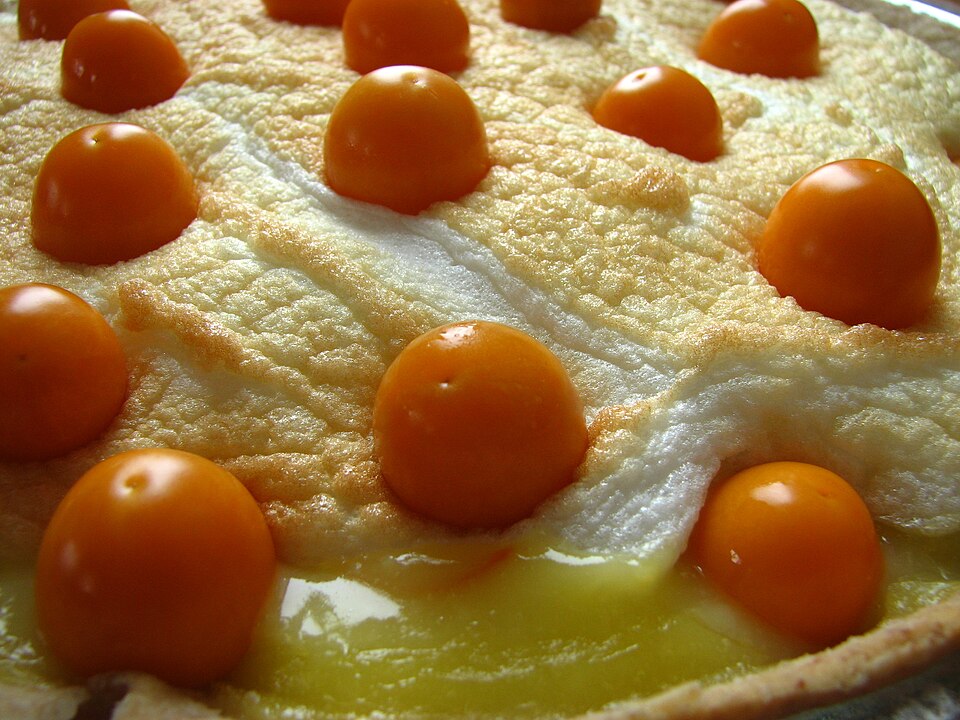Physalis heterophylla (clammy groundcherry)