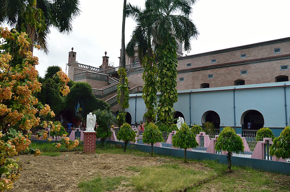 Mussaenda (alternate view 4)