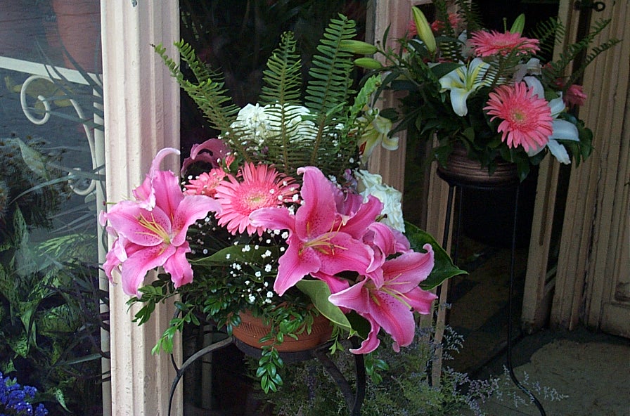 Lilium (true lilies) (alternate view 5)