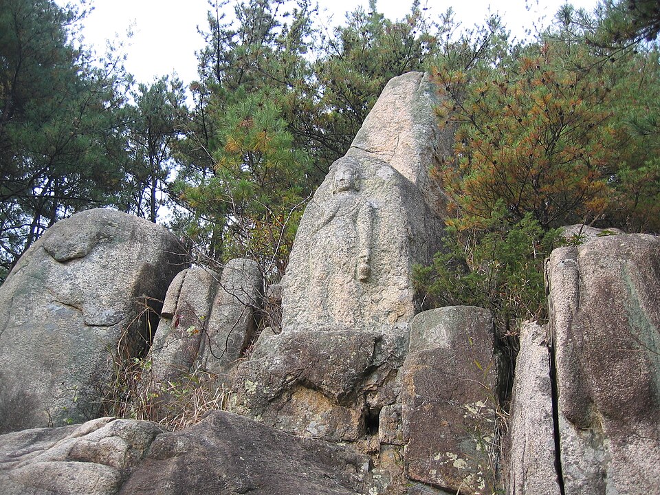 Pinus densiflora (Japanese Red Pine) (alternate view 8)