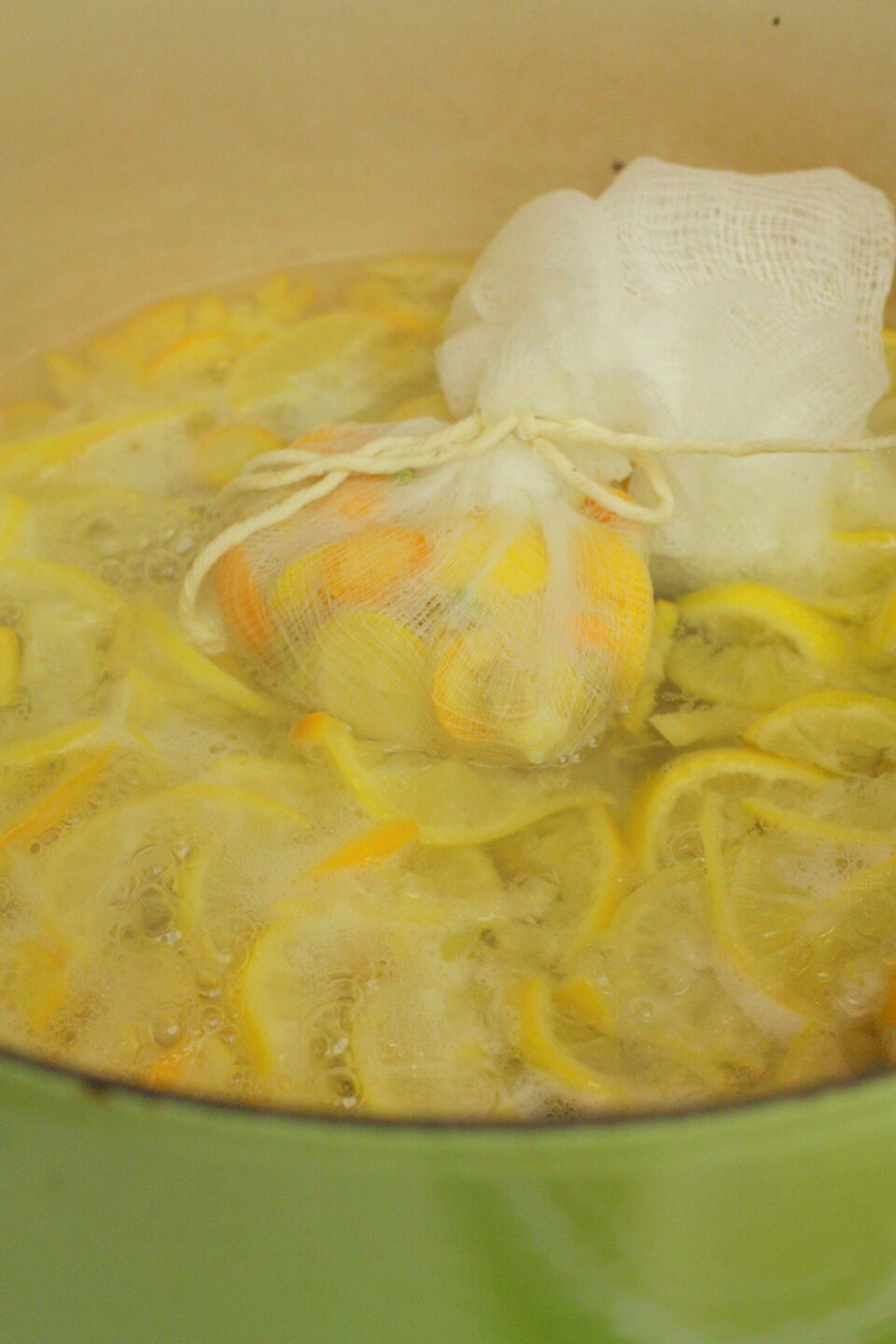 Citrus × floridana (Limequat) (alternate view 5)