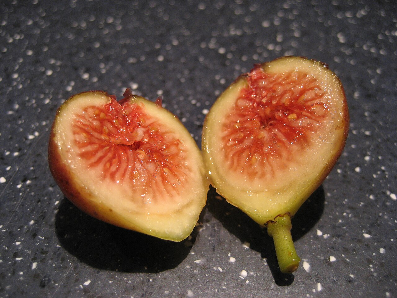 Ficus carica 'Brown Turkey' (Brown Turkey Fig)