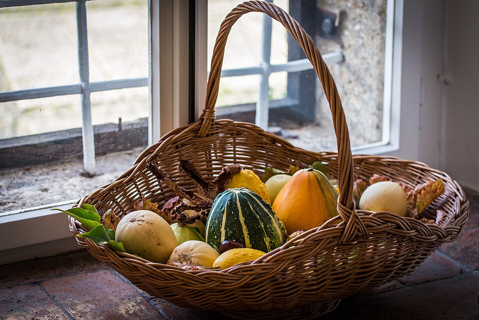 Cucurbita (gourds) (alternate view 3)