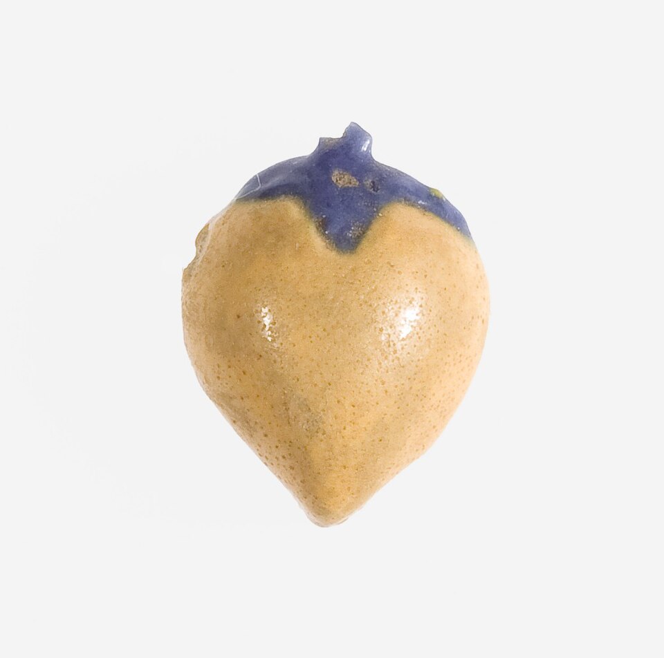 Persea (alternate view 3)