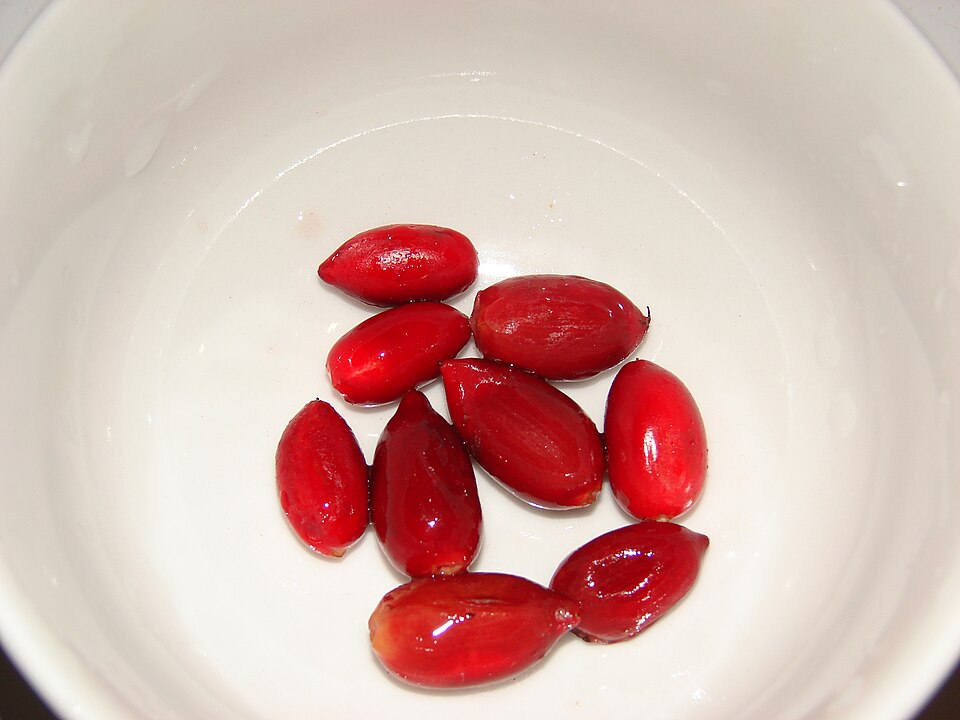 Synsepalum dulcificum (Miracle Fruit) (alternate view 5)