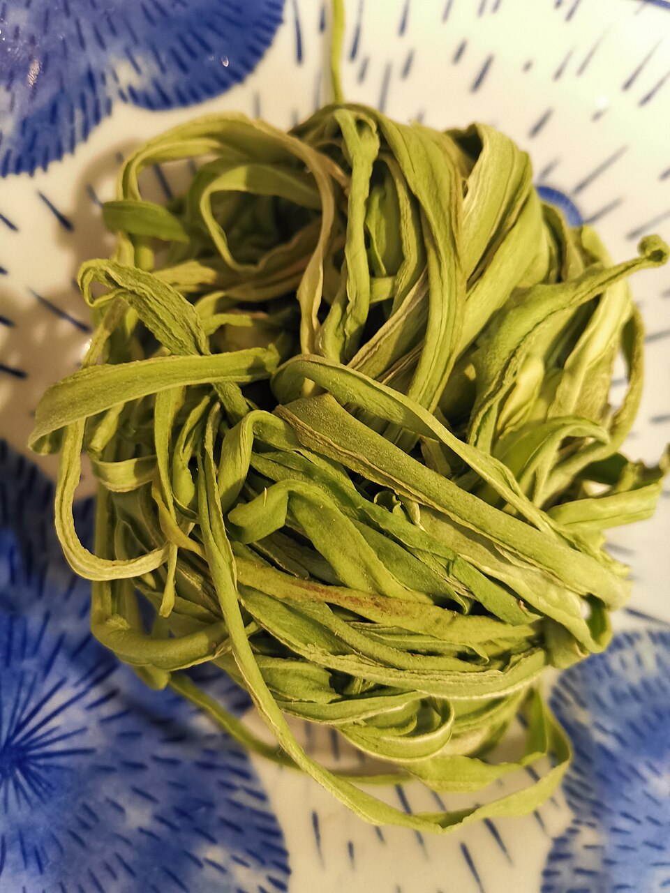 Lactuca (wild lettuces) (alternate view 5)