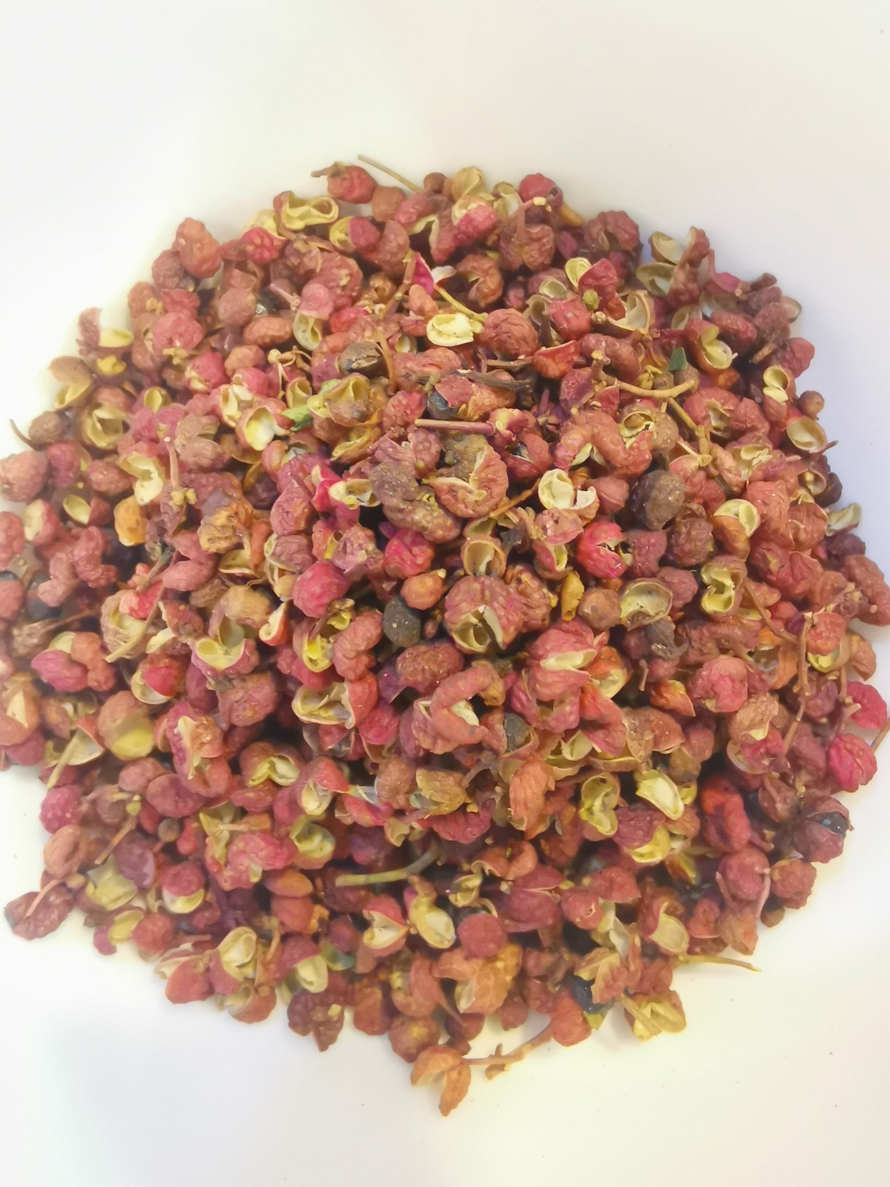 Zanthoxylum bungeanum, Sichuan pepper — upright deciduous (Rutaceae) (image 2 of 10)